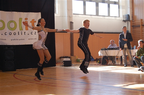Obrázek v galerii