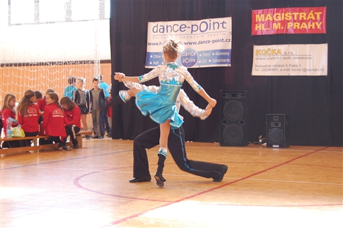 Obrázek v galerii