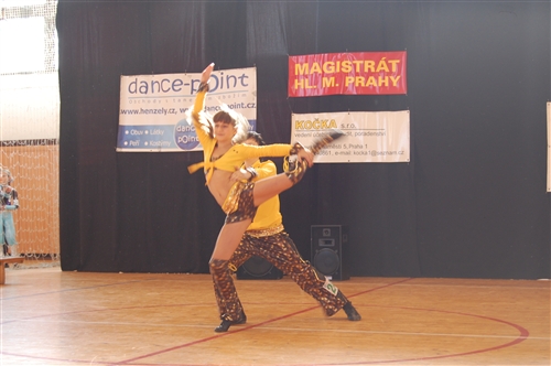 Obrázek v galerii