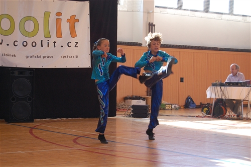Obrázek v galerii