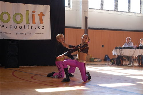 Obrázek v galerii