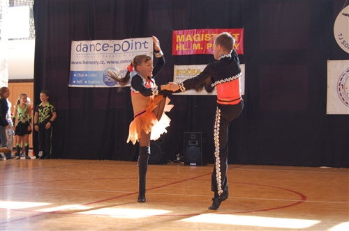 Obrázek v galerii