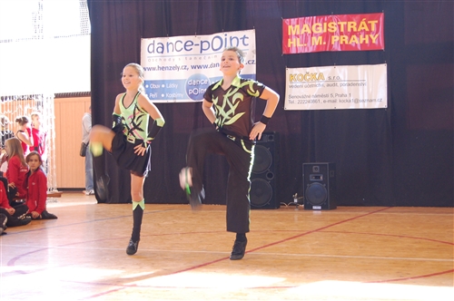 Obrázek v galerii