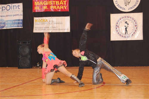 Obrázek v galerii