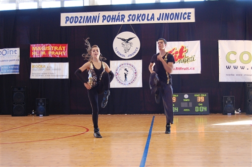 Obrázek v galerii