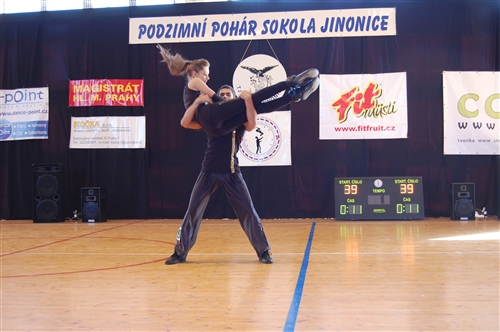 Obrázek v galerii