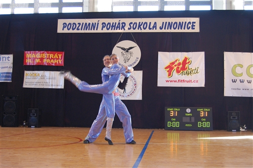 Obrázek v galerii