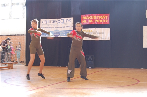 Obrázek v galerii