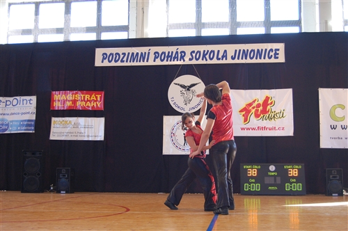 Obrázek v galerii