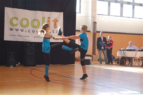 Obrázek v galerii