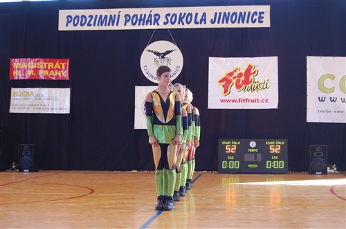 Obrázek v galerii