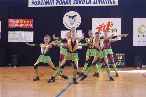 Obrázek v galerii