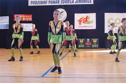 Obrázek v galerii