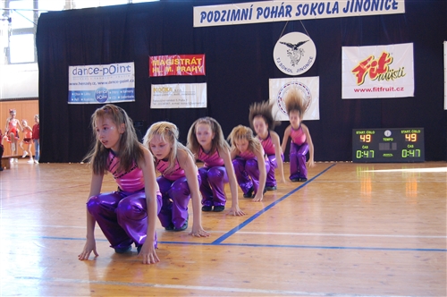Obrázek v galerii