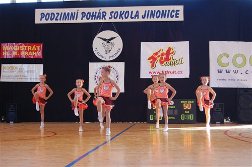 Obrázek v galerii
