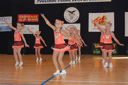 Obrázek v galerii