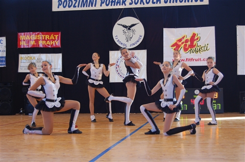 Obrázek v galerii