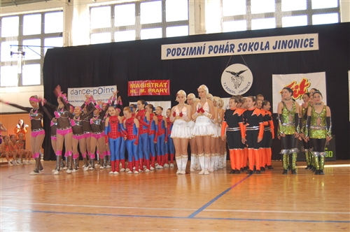 Obrázek v galerii