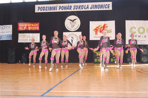 Obrázek v galerii