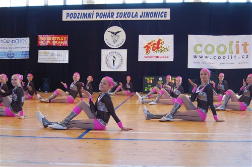 Obrázek v galerii