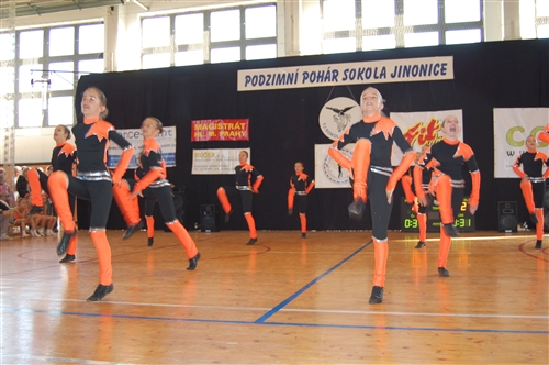 Obrázek v galerii