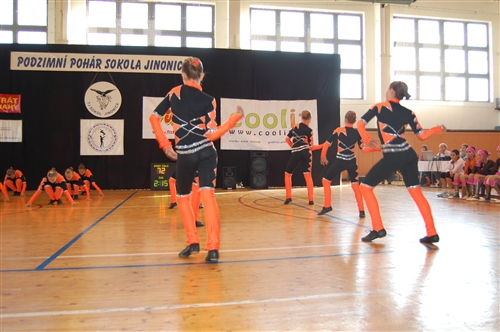 Obrázek v galerii