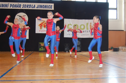 Obrázek v galerii