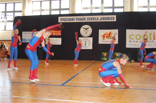 Obrázek v galerii