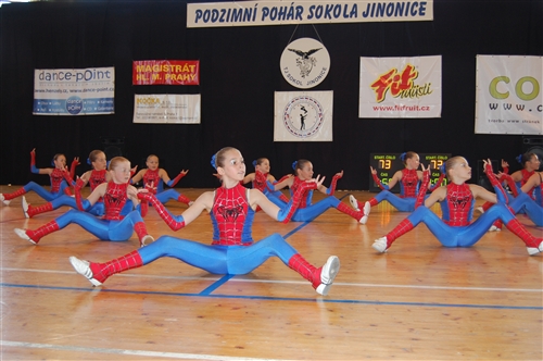 Obrázek v galerii