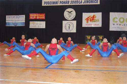 Obrázek v galerii