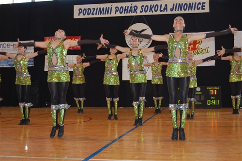Obrázek v galerii