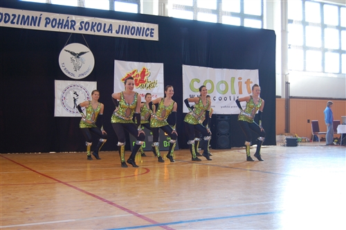 Obrázek v galerii