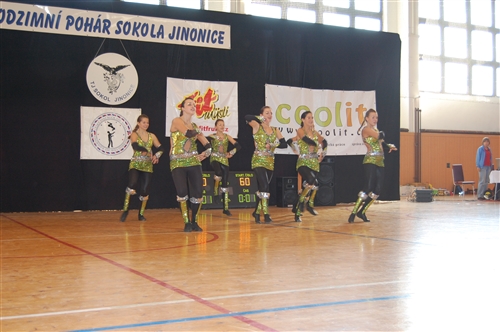 Obrázek v galerii