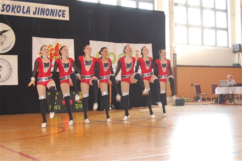 Obrázek v galerii