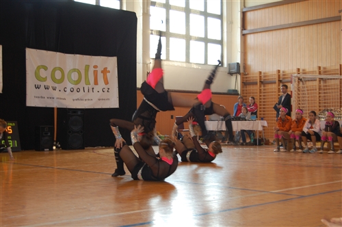 Obrázek v galerii