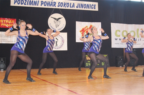 Obrázek v galerii