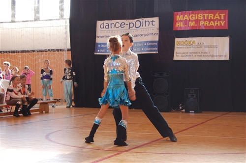 Obrázek v galerii