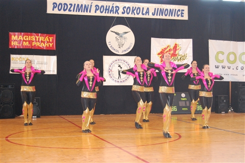 Obrázek v galerii