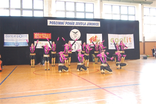 Obrázek v galerii