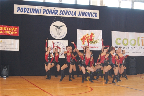 Obrázek v galerii