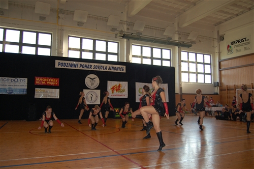 Obrázek v galerii