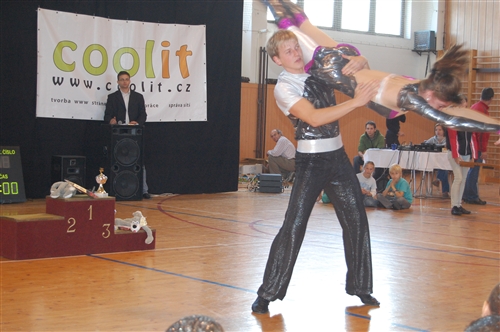 Obrázek v galerii