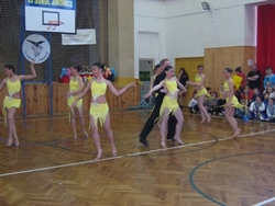 Obrázek v galerii