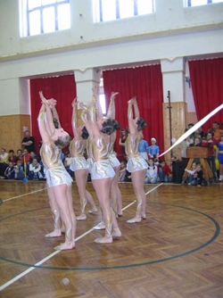 Obrázek v galerii
