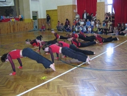 Obrázek v galerii