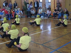 Obrázek v galerii
