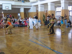 Obrázek v galerii