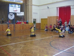 Obrázek v galerii