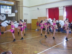 Obrázek v galerii