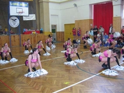Obrázek v galerii